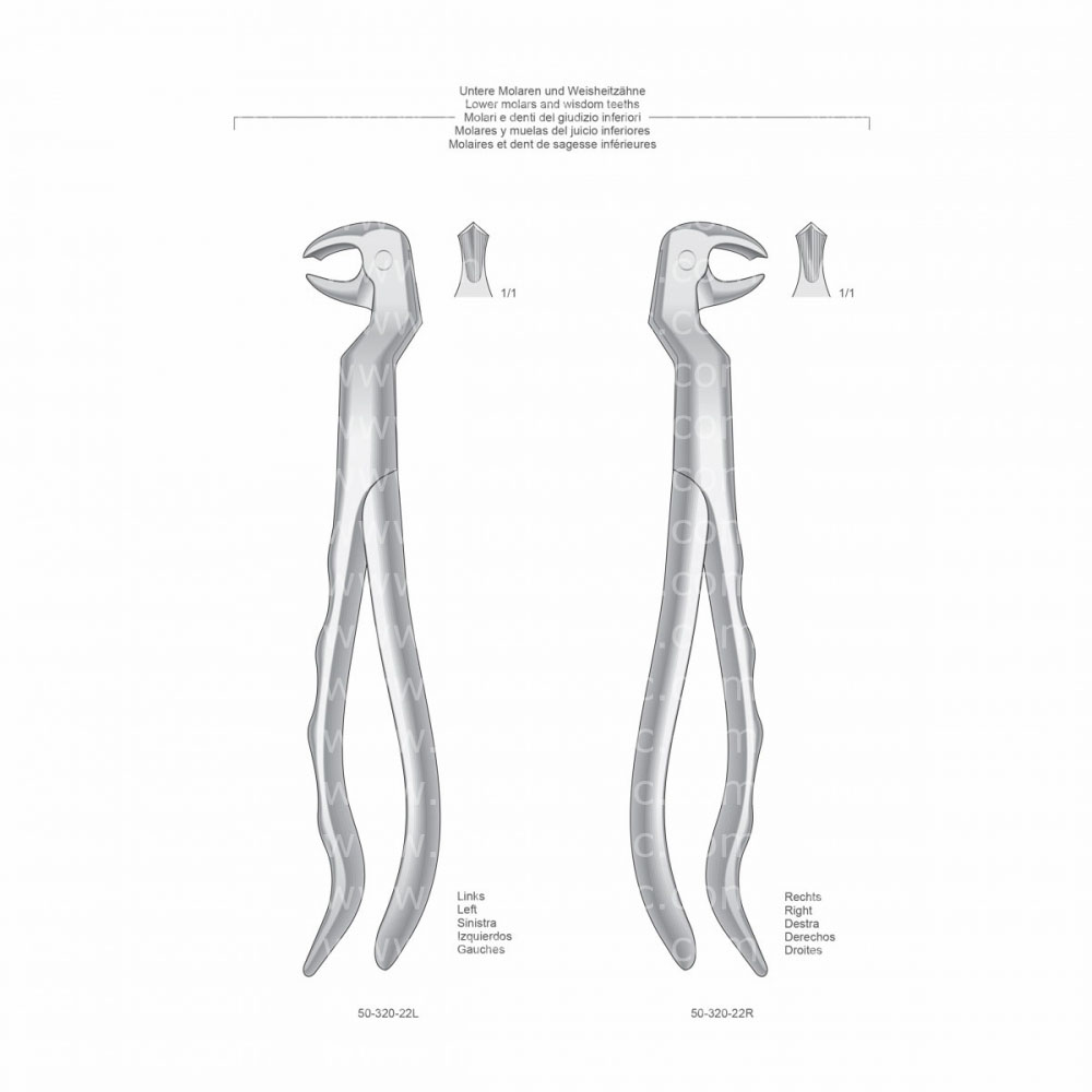 Extracting Forceps, Anatomical Handle