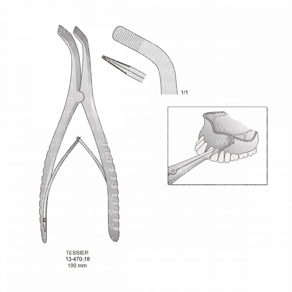 Tessier Bone Holding Forceps