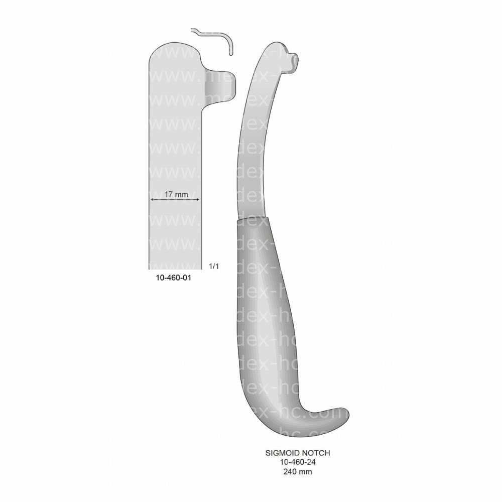 Sigmoid Notch Raspatories