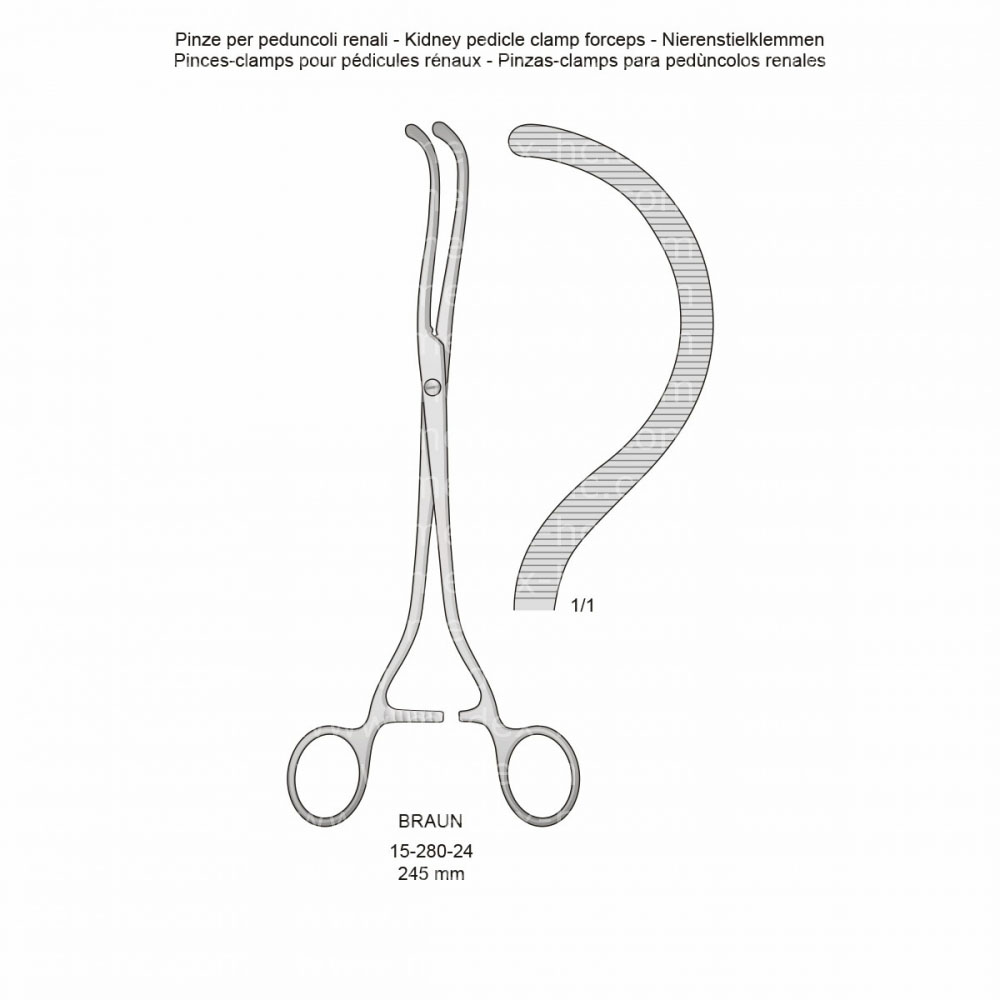 Braun Intestines and Urology