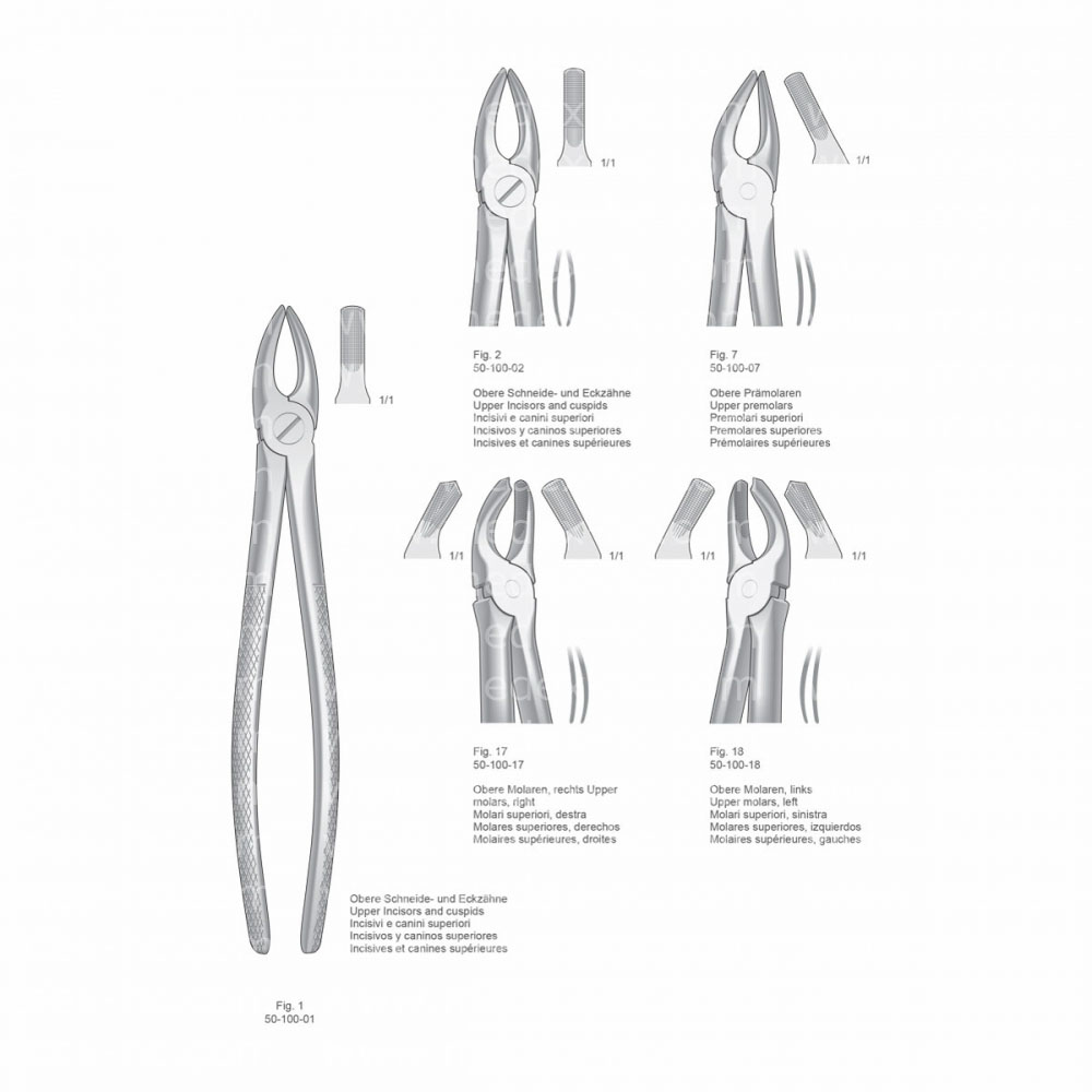 Extracting Forceps, English Pattern