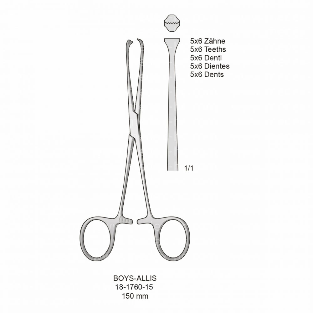 Boys-Allis Hemostatic Forceps