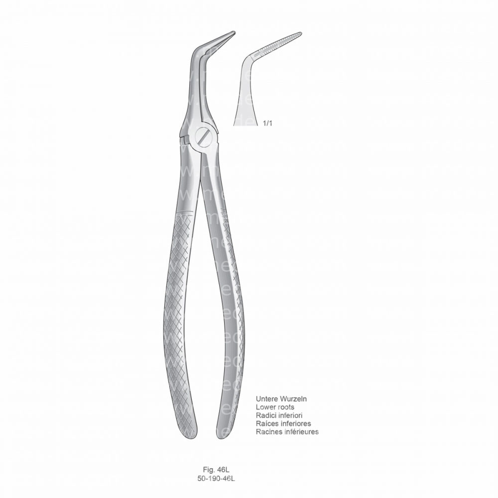 Extracting Forceps, English Pattern