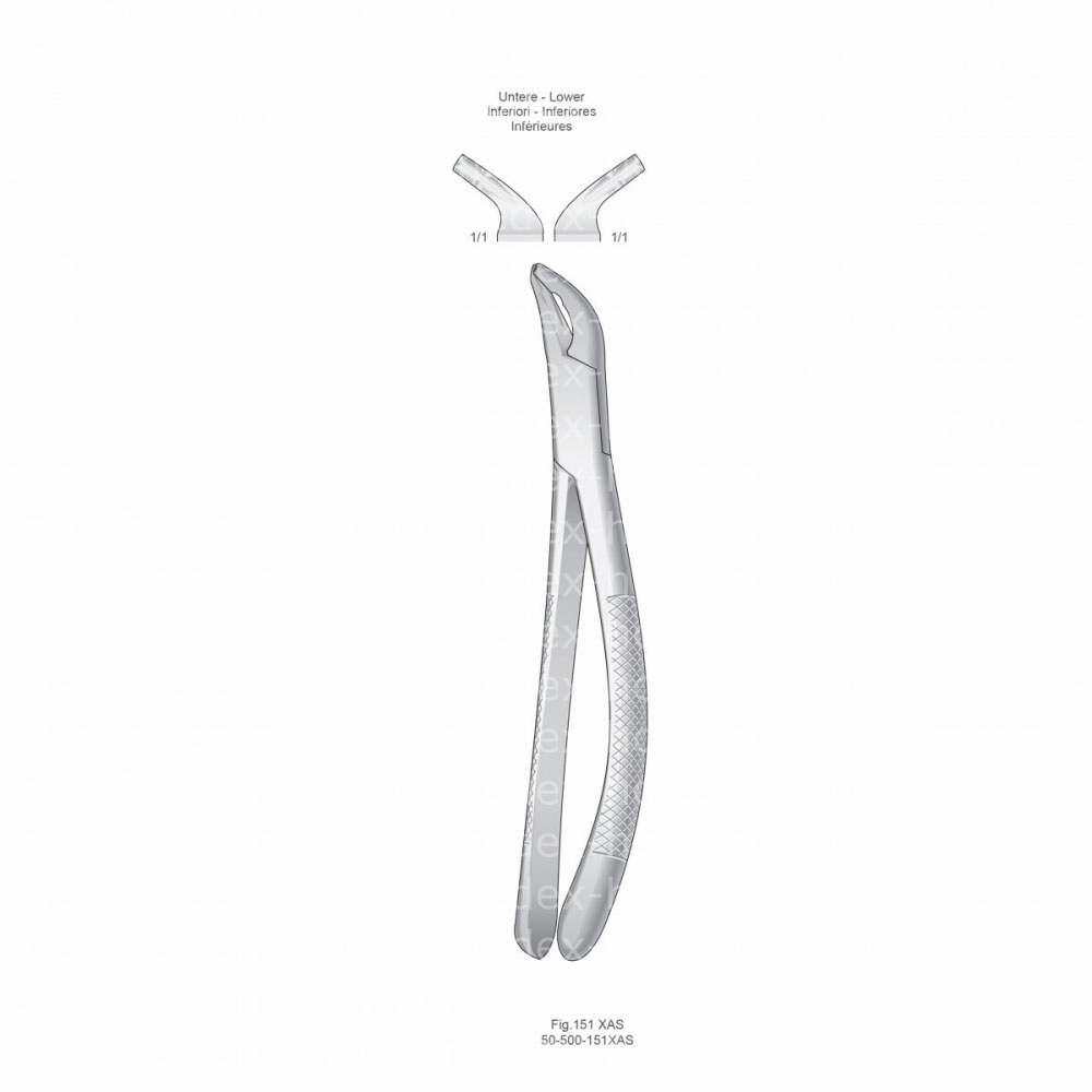 Cryer Extracting Forceps, American Pattern