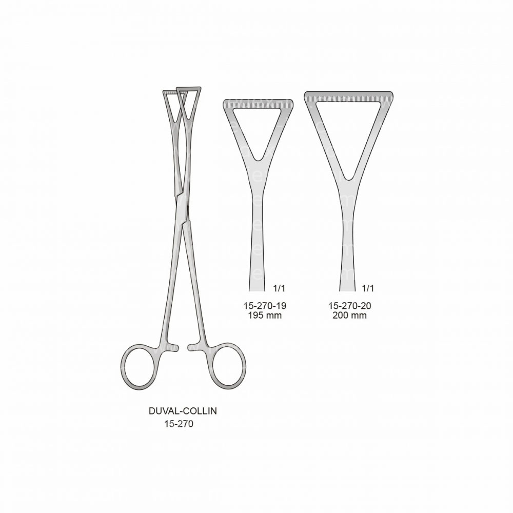 Duval - Collin Intestines and Urology