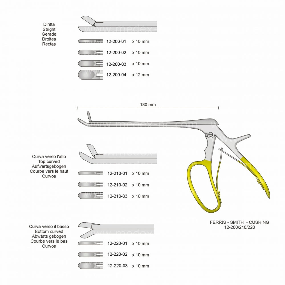 Ferris-Smith-Cushing Laminectomy