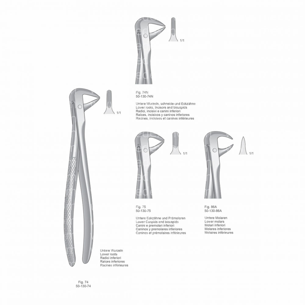 Extracting Forceps, English Pattern