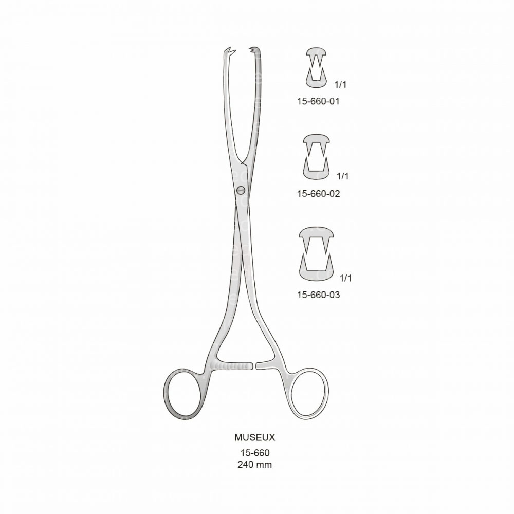 Museux Uterine Tenaculum Forceps