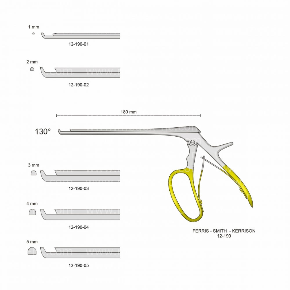 Ferris-Smith-Kerrison Laminectomy