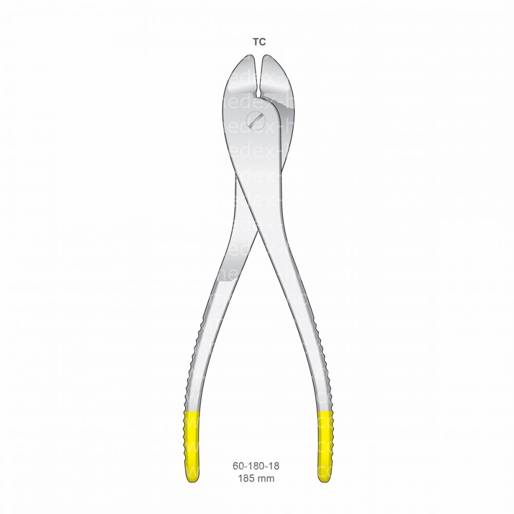 Orthodontics