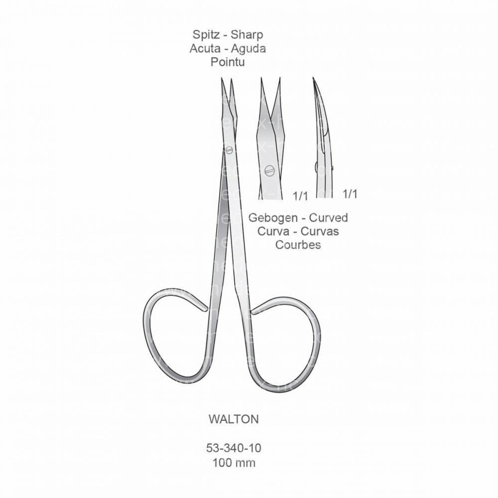 Walton Scissors