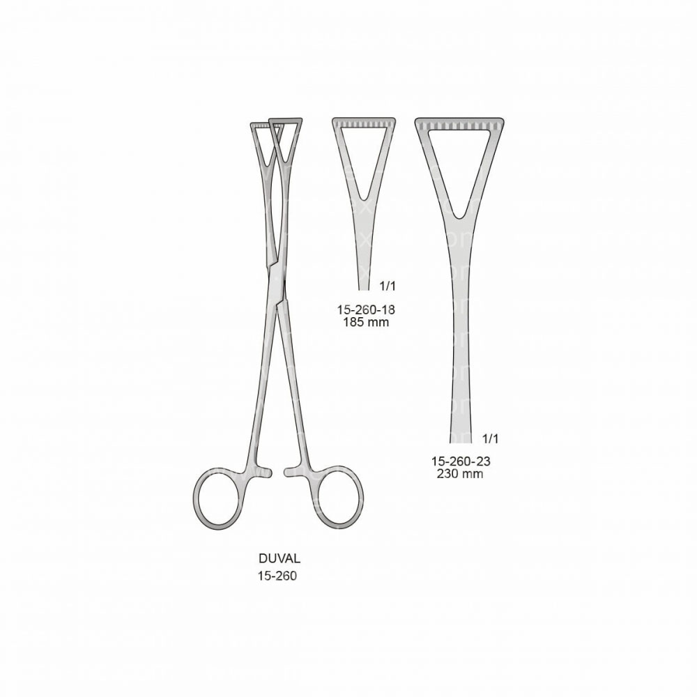 Duval Intestines and Urology