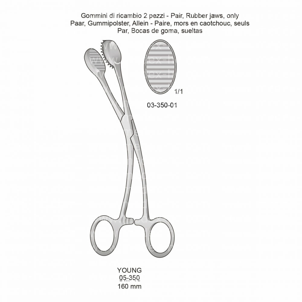 Young Tongue Forceps