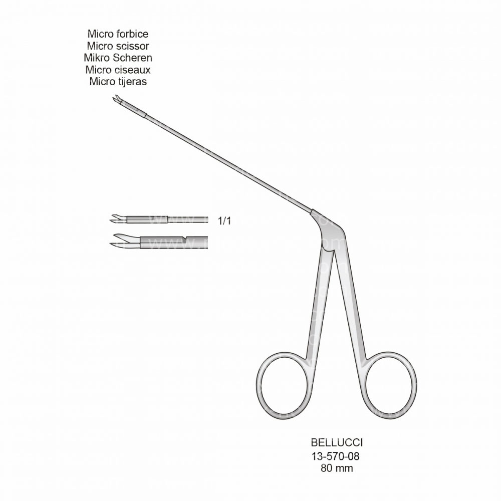 Bellucci Ear Instruments