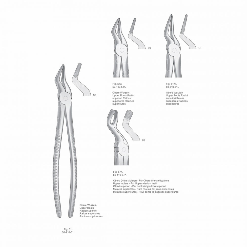 Extracting Forceps, English Pattern