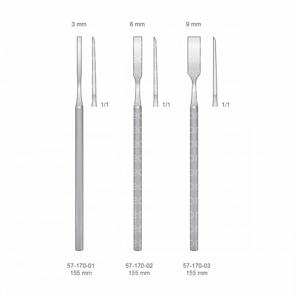 Implantology