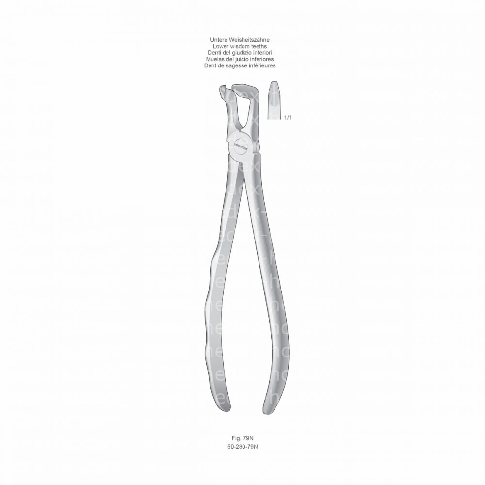 Extracting Forceps, Anatomical Handle