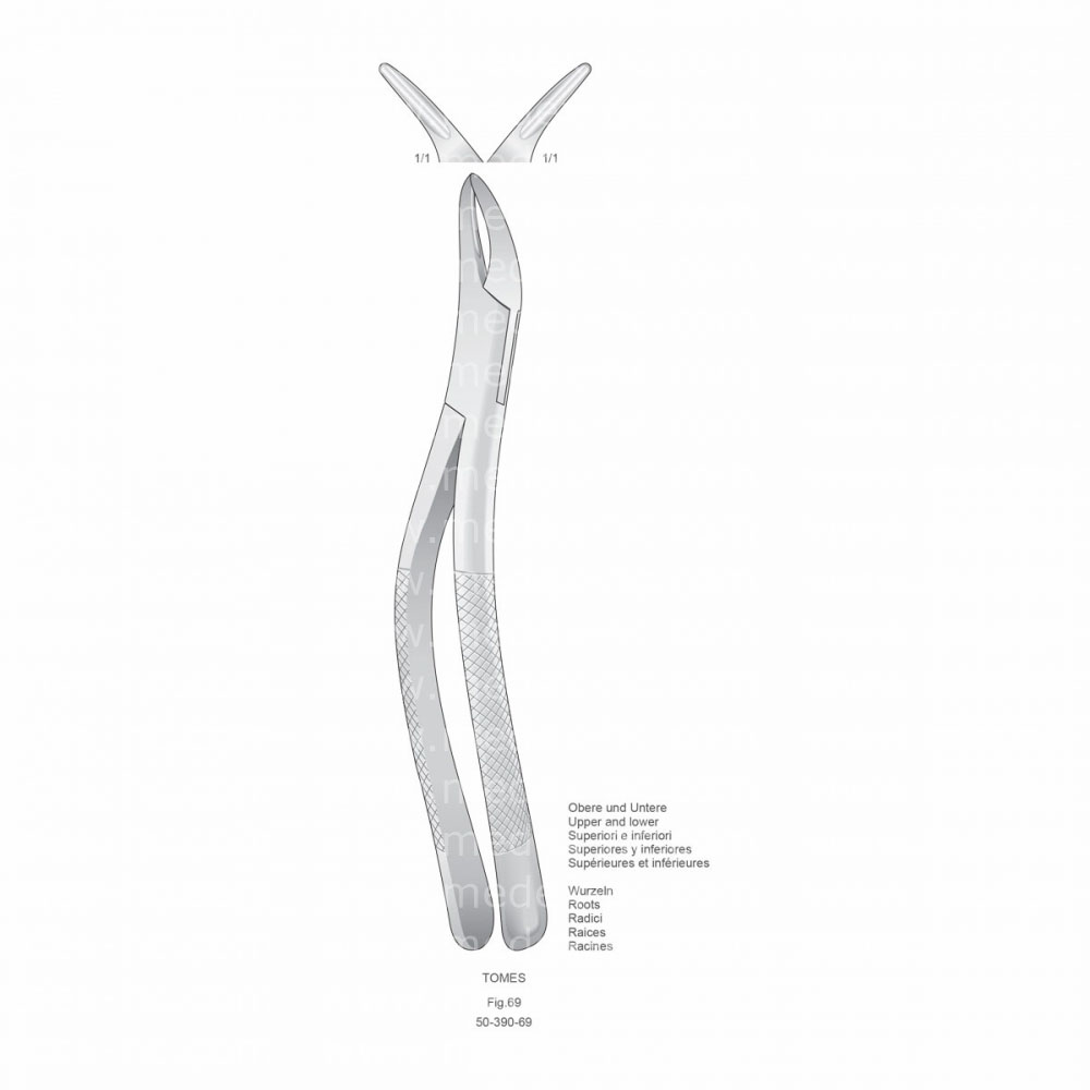 Tomes Extracting Forceps, American Pattern