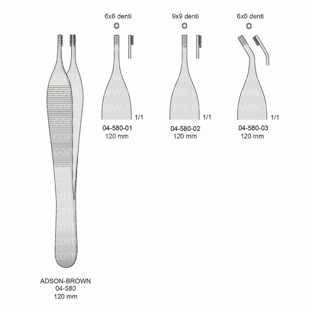 ADSON-BROWN Tissue Forceps