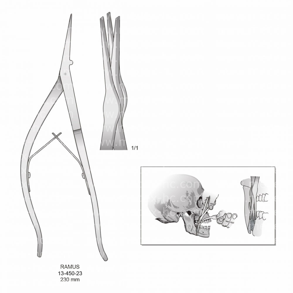 Ramus Bone Holding Forceps