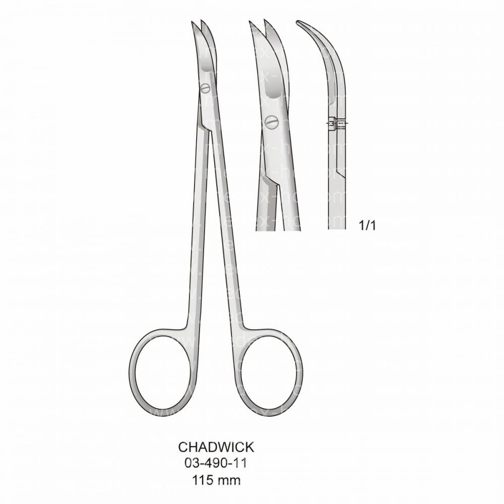 Chadwick Delicate Scissors