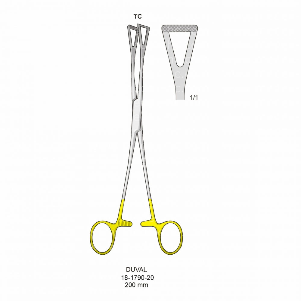 Duval Hemostatic Forceps