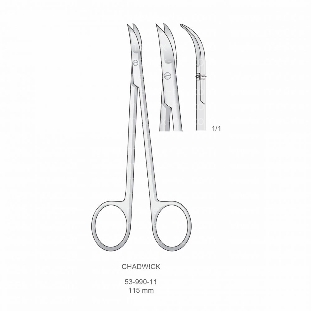 Chadwick Scissors