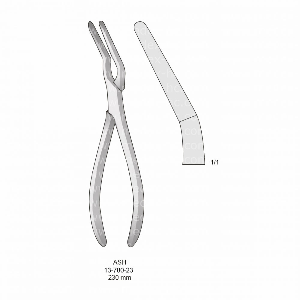 Ash Rhinology