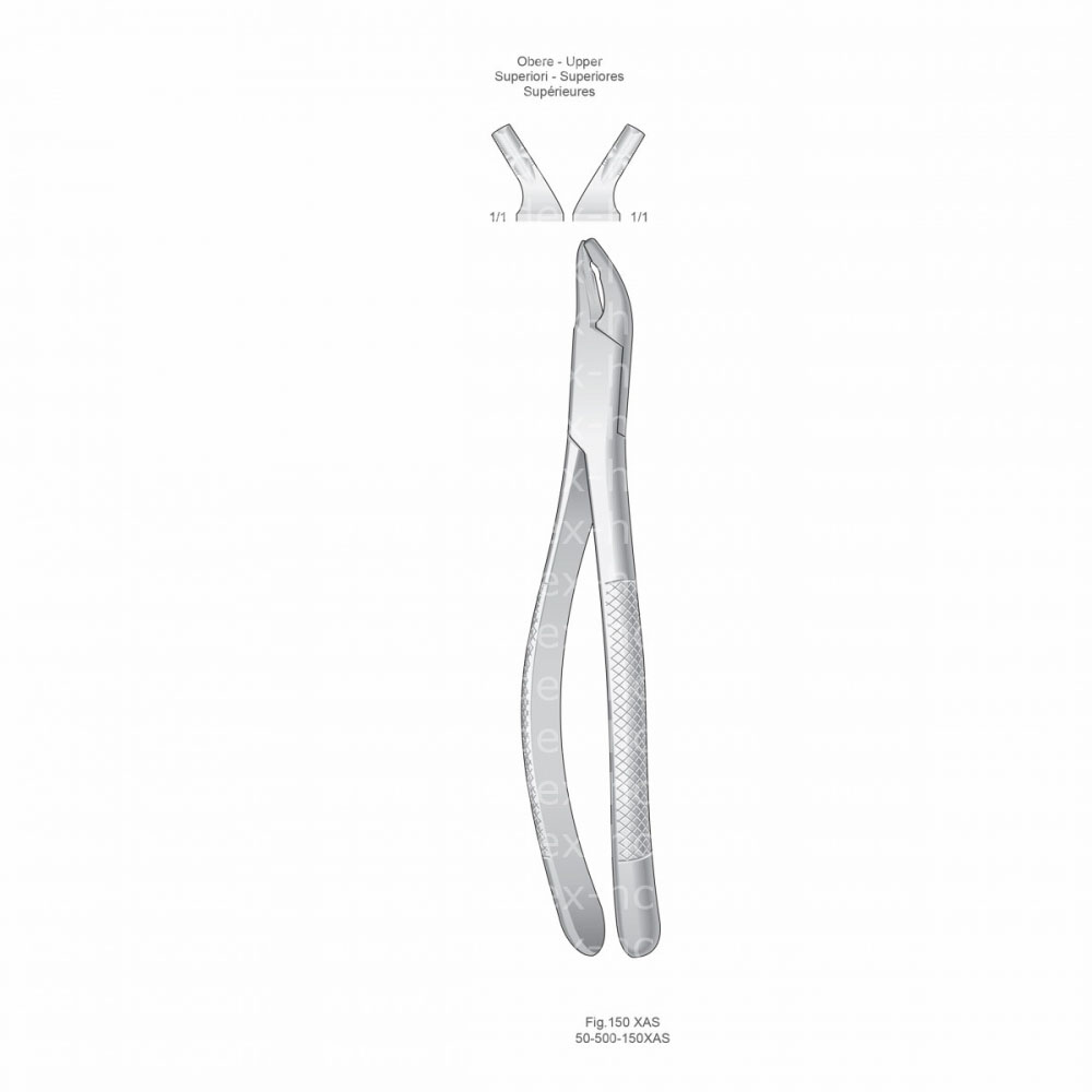 Extracting Forceps, English Pattern