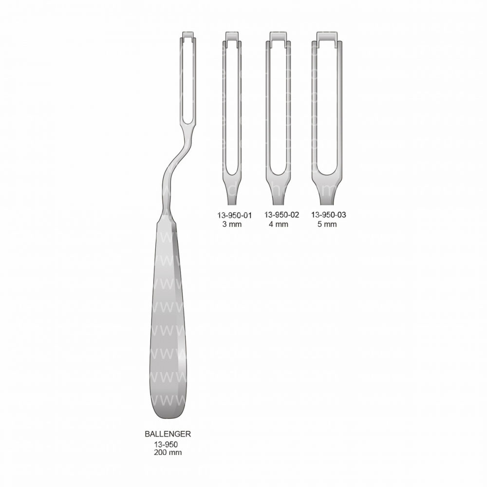 Ballenger Rhinology