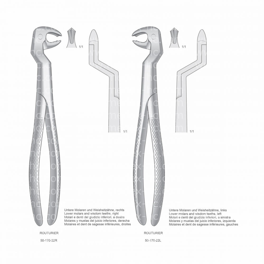 Routurier Extracting Forceps, English Pattern