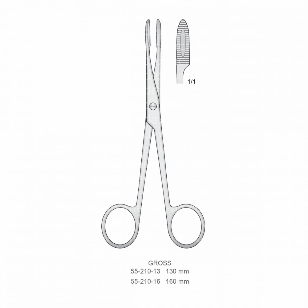 Gross Hemostatic Forceps