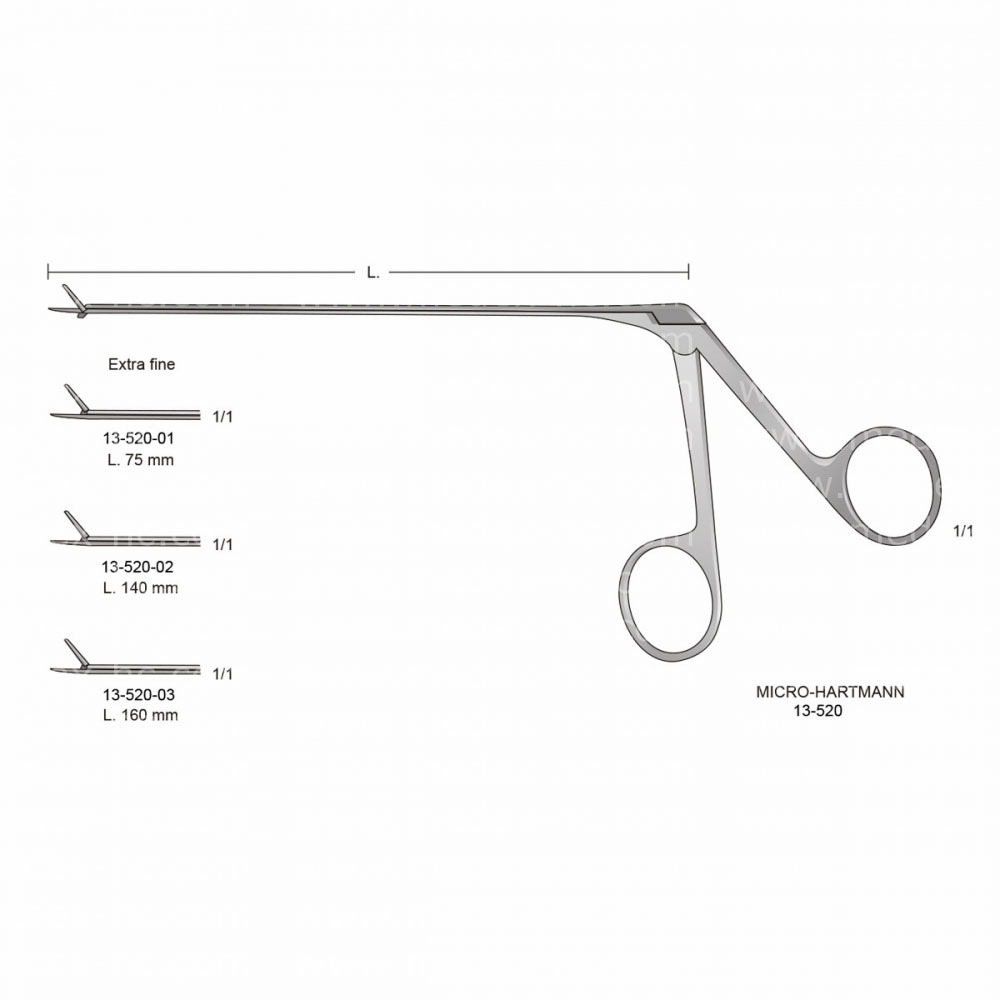 Micro-Hartmann Ear Instruments