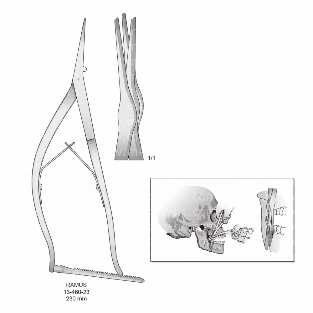 Ramus Bone Holding Forceps