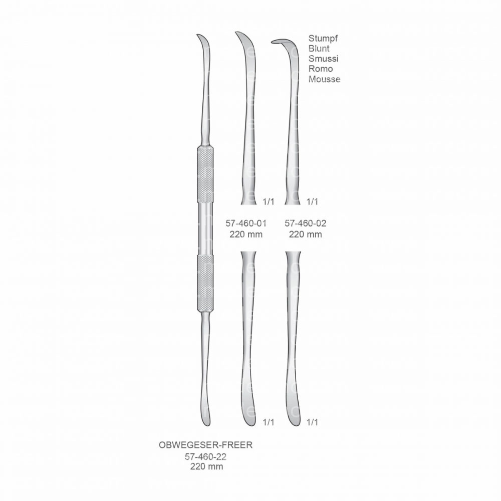 Obwegeser-Freer Implantology