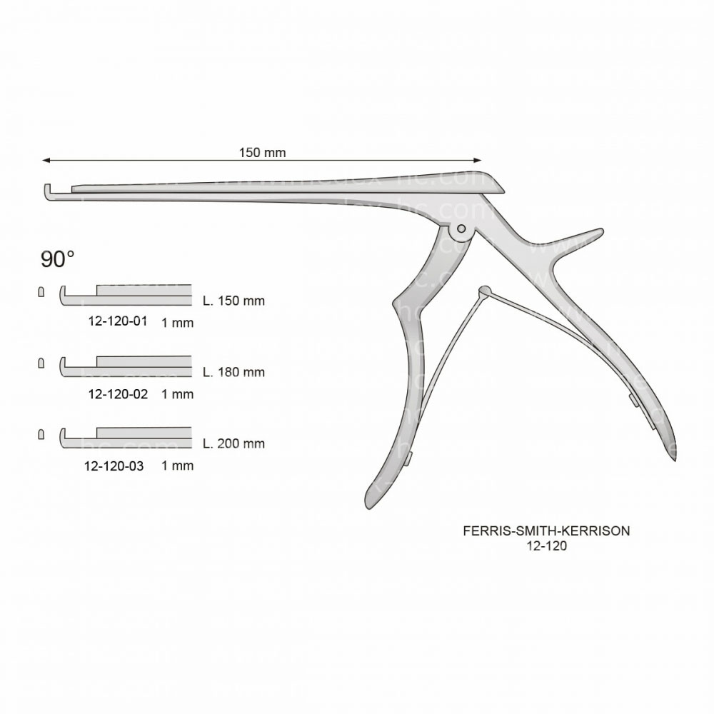 Ferris-Smith-Kerrison Laminectomy