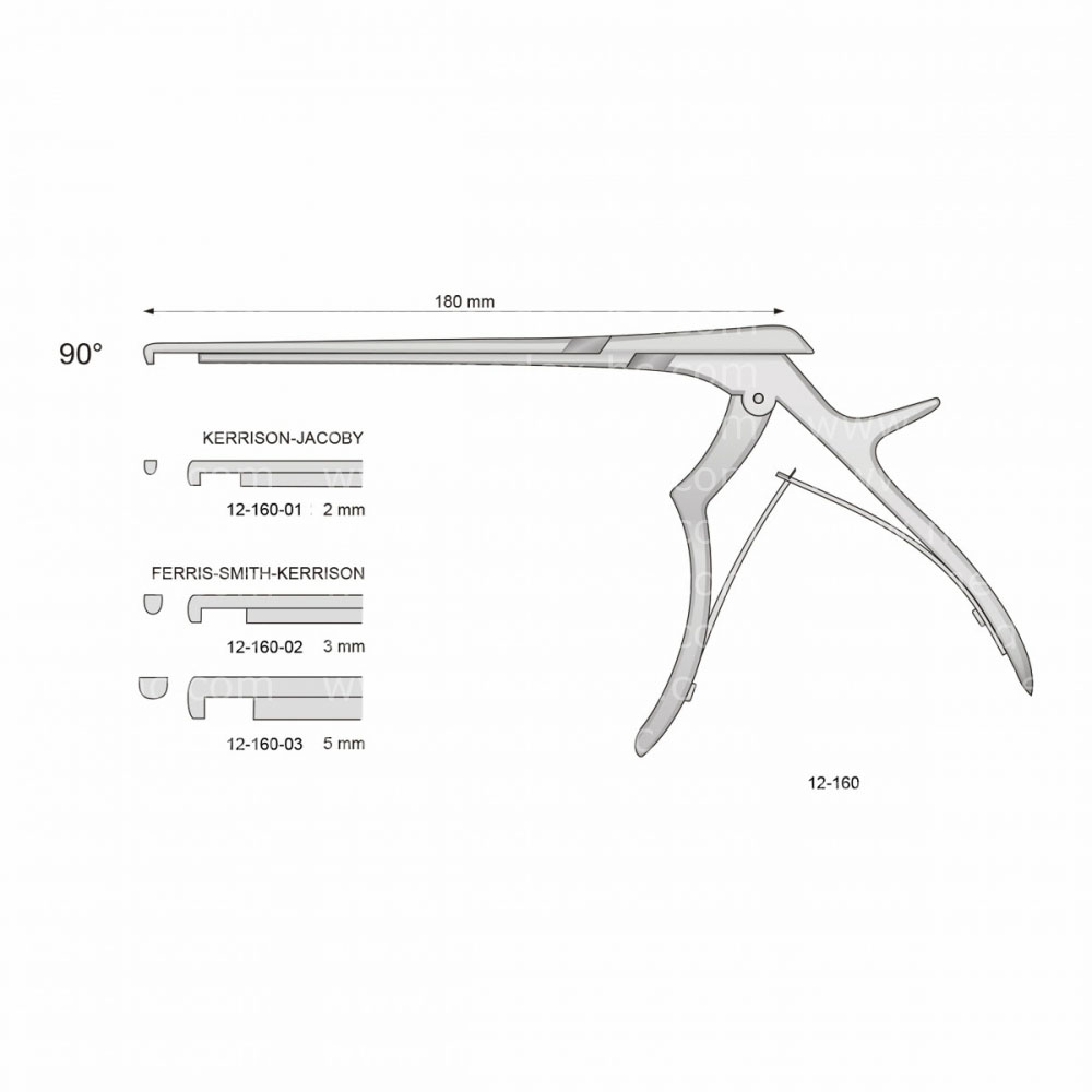 Ferris-Smith-Kerrison Laminectomy