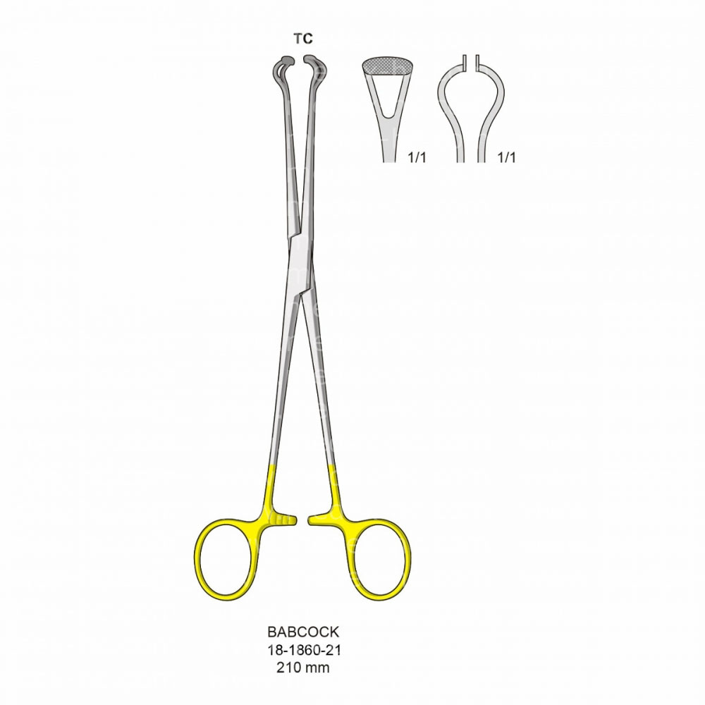 Babcock Hemostatic Forceps