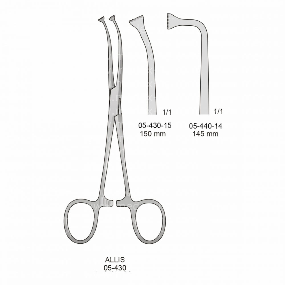 Allis Gum & Tissue Forceps