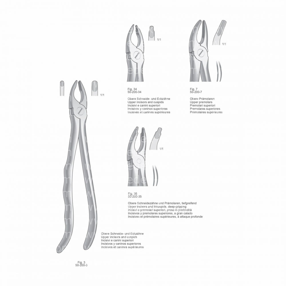 Extracting Forceps, Anatomical Handle