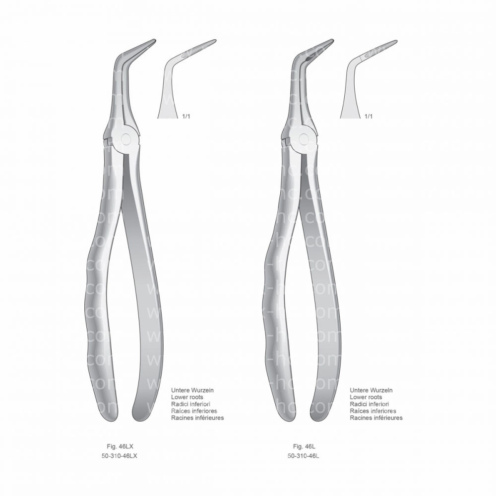 Extracting Forceps, Anatomical Handle