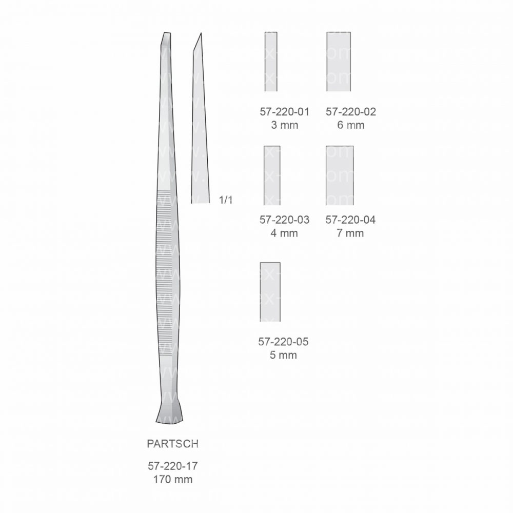 Partsch Implantology