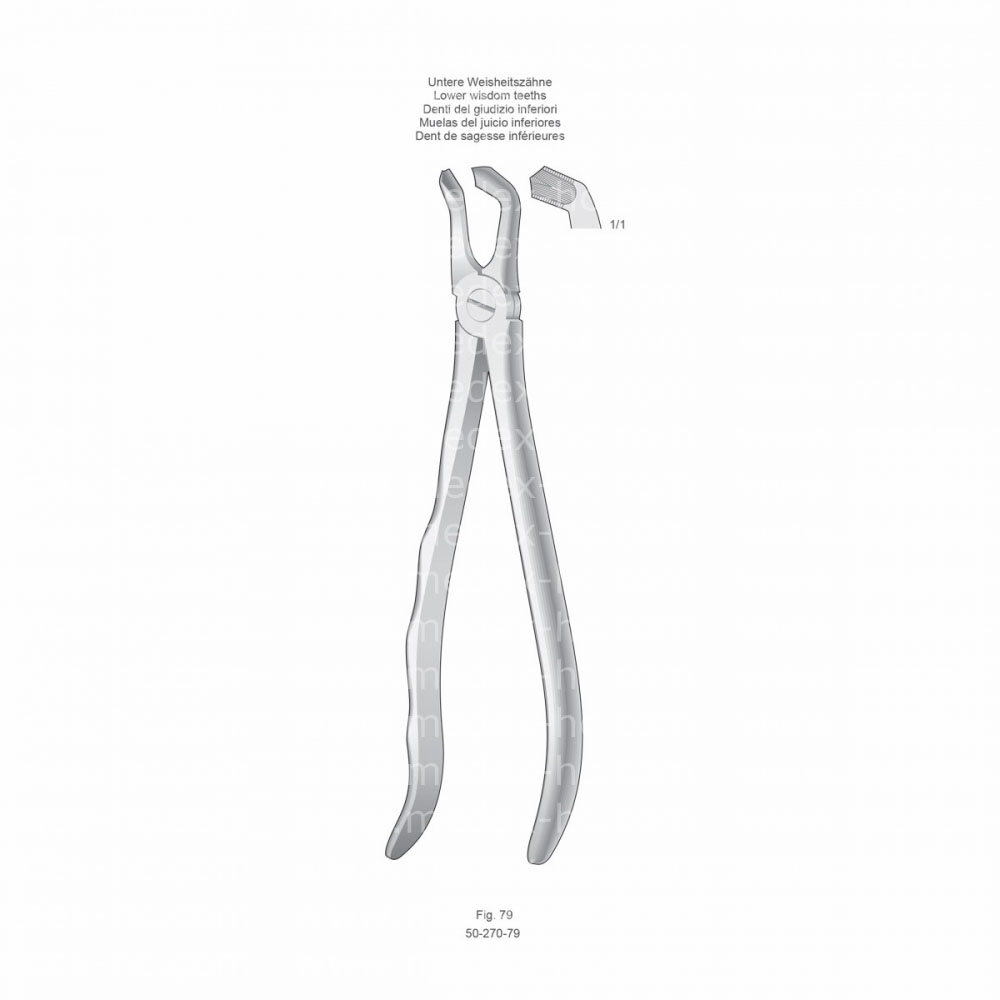 Extracting Forceps, Anatomical Handle