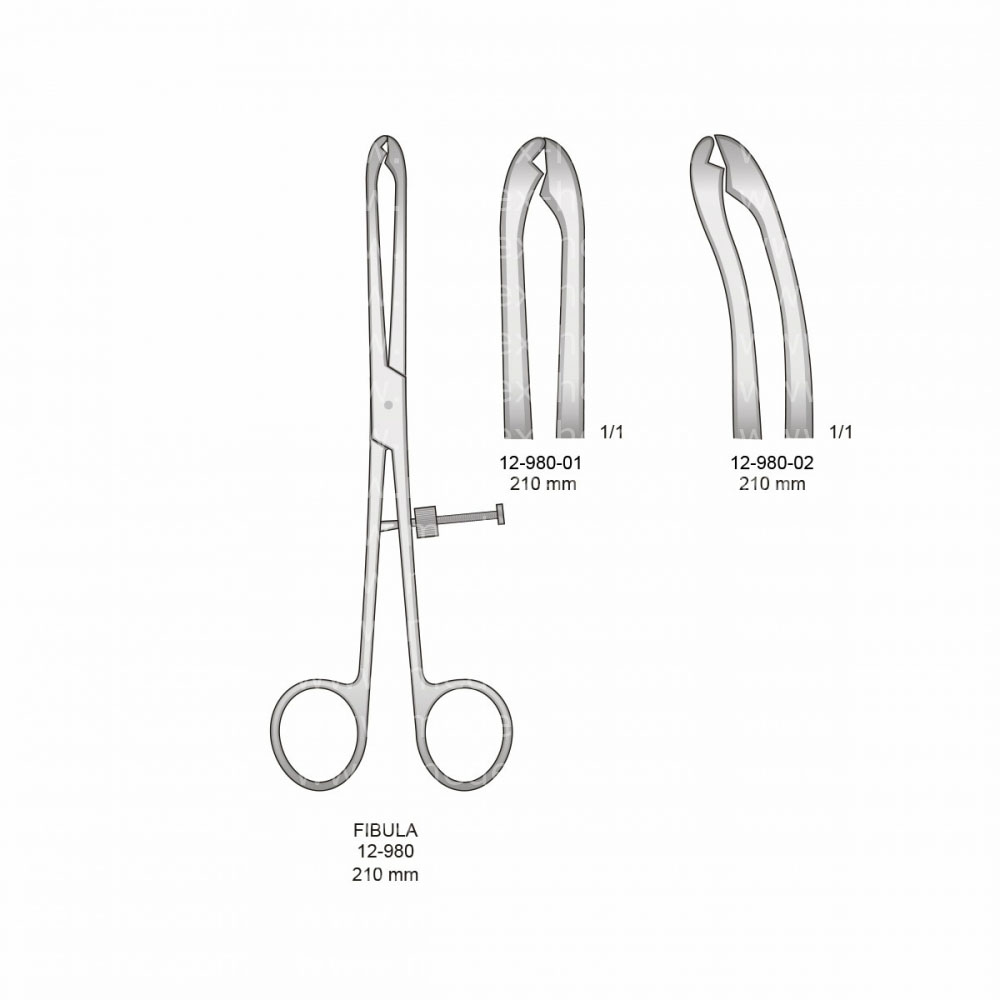 Fibula Bone Surgery