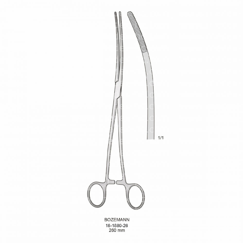 Bozemann Hemostatic Forceps