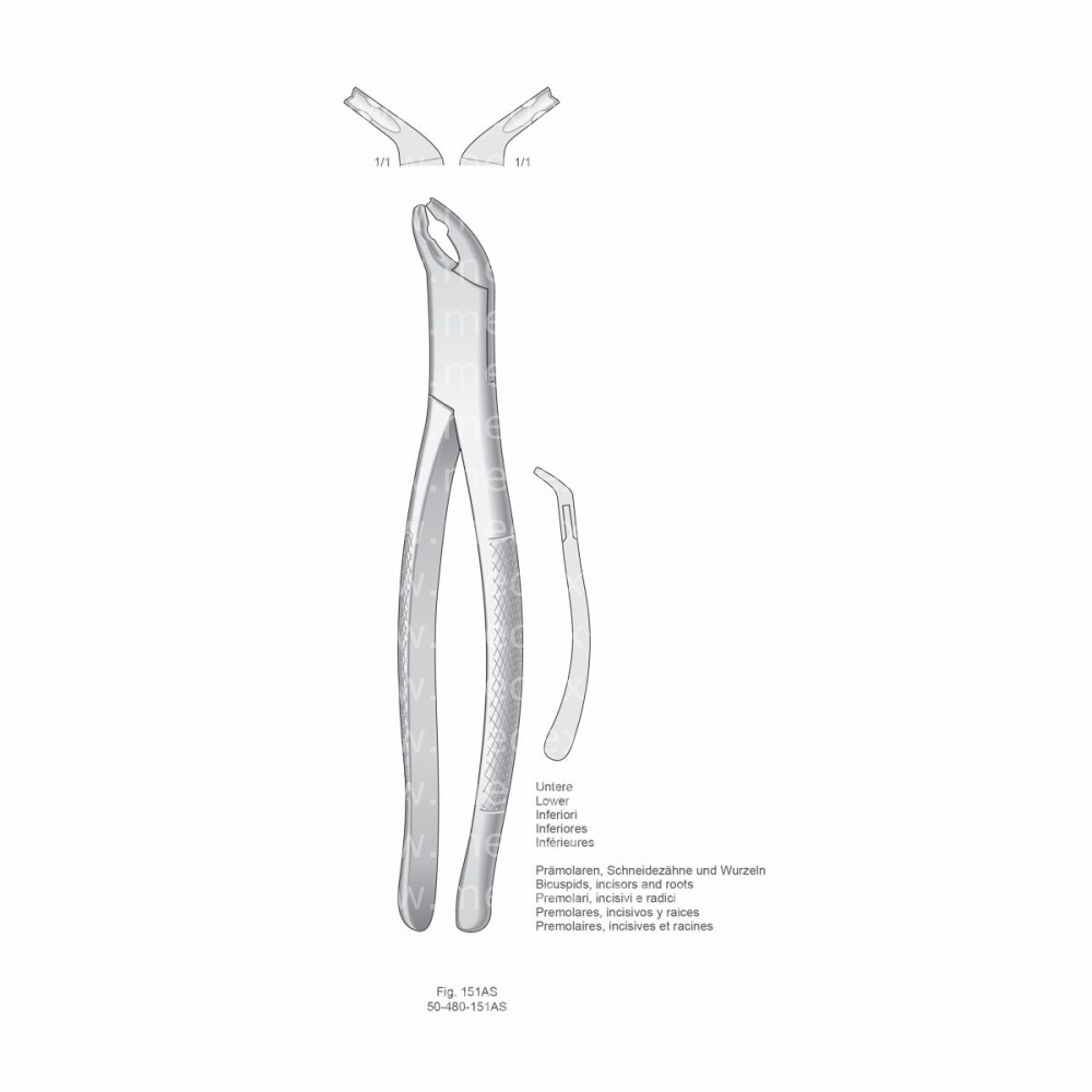 Extracting Forceps, American Pattern