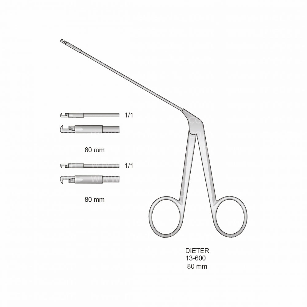 Dieter Ear Instruments