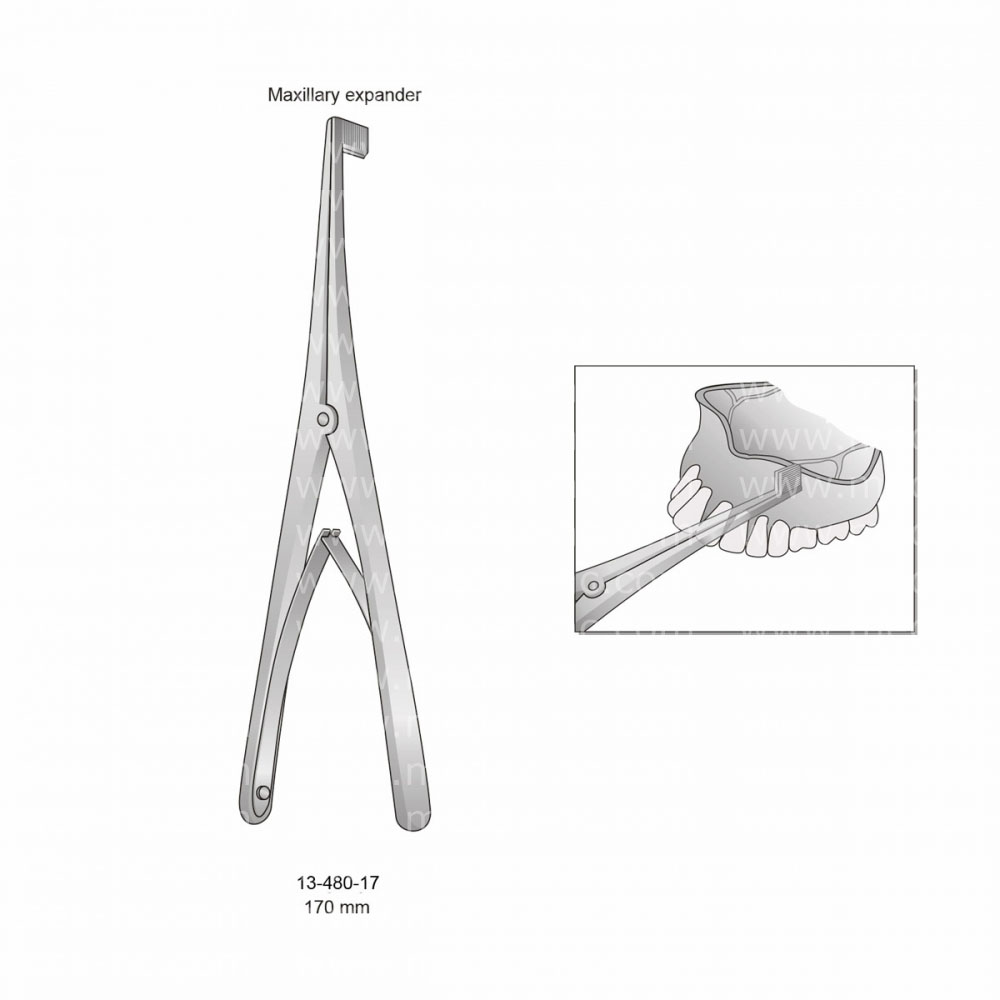 Bone Holding Forceps