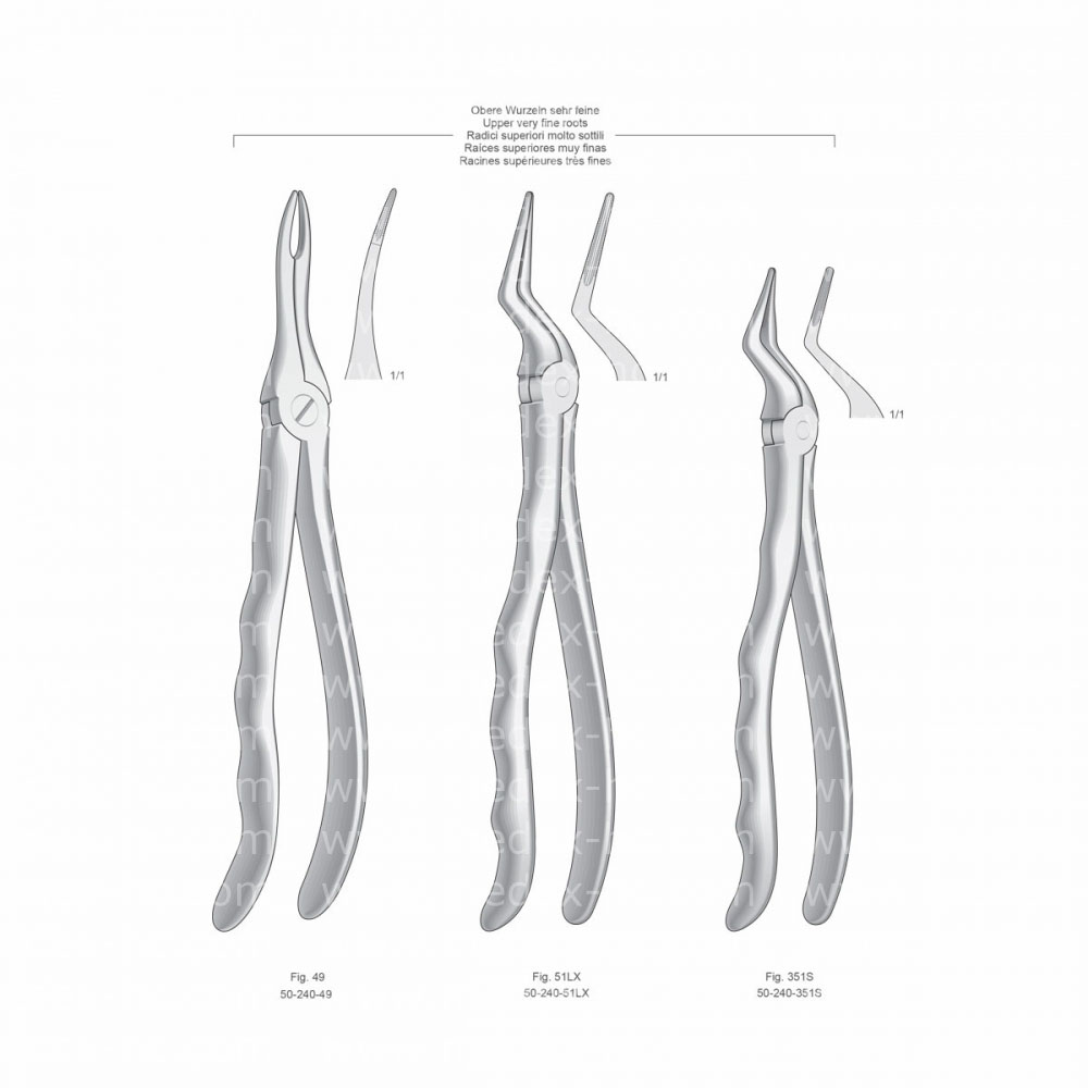 Extracting Forceps, Anatomical Handle