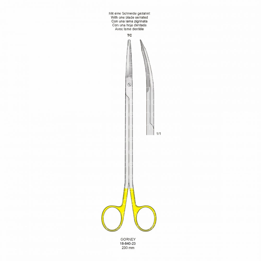 Gorney Operating Scissors